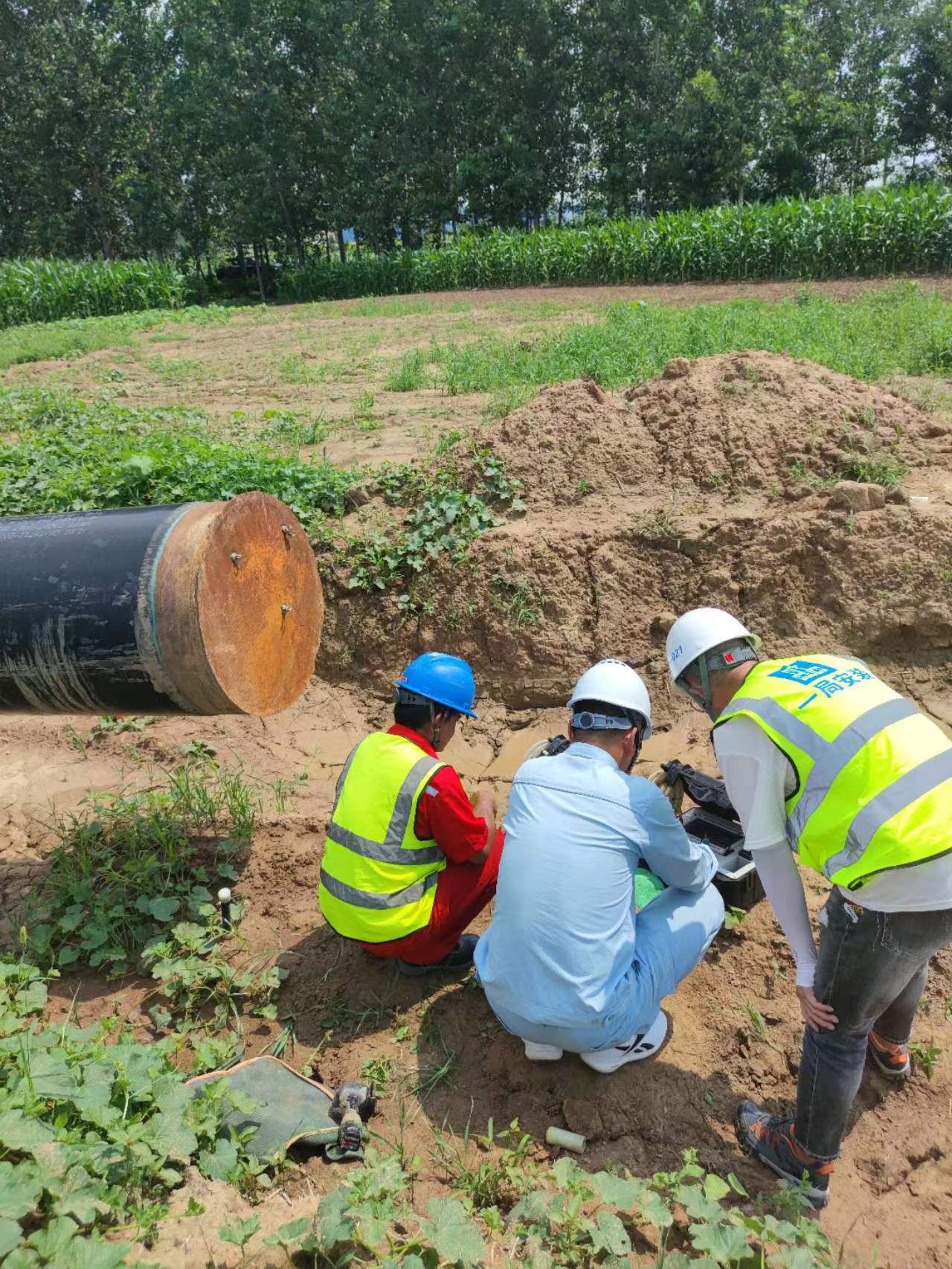 2024.05.08电导率网站使用.jpg