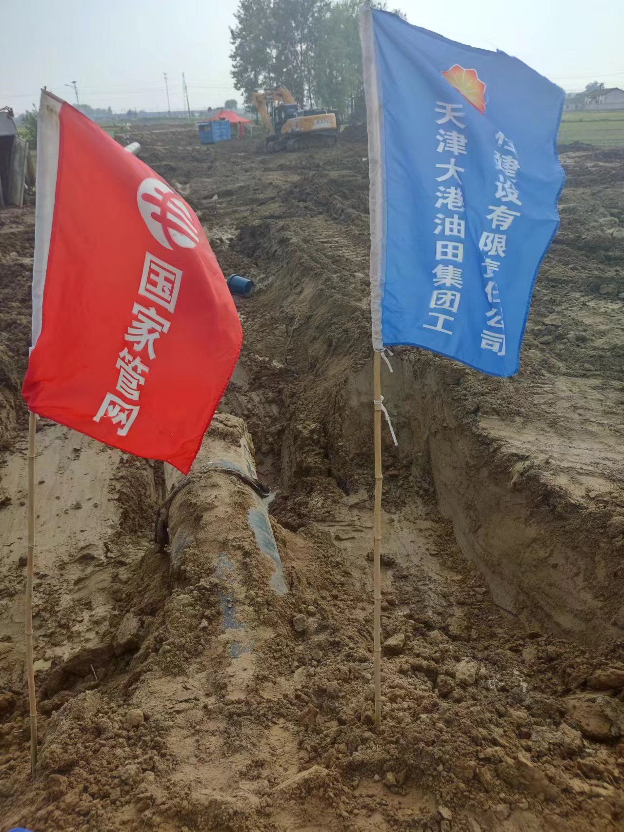 2024.07.01电导率网站使用.jpg
