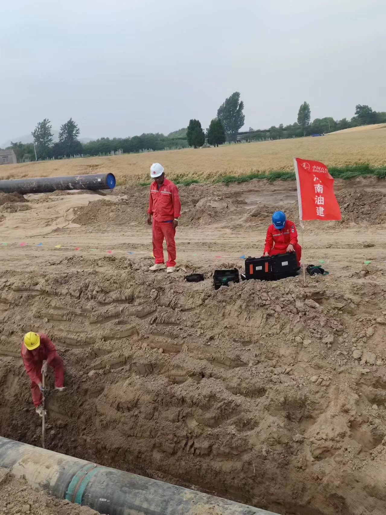 2024.07.30电导率网站使用.jpg