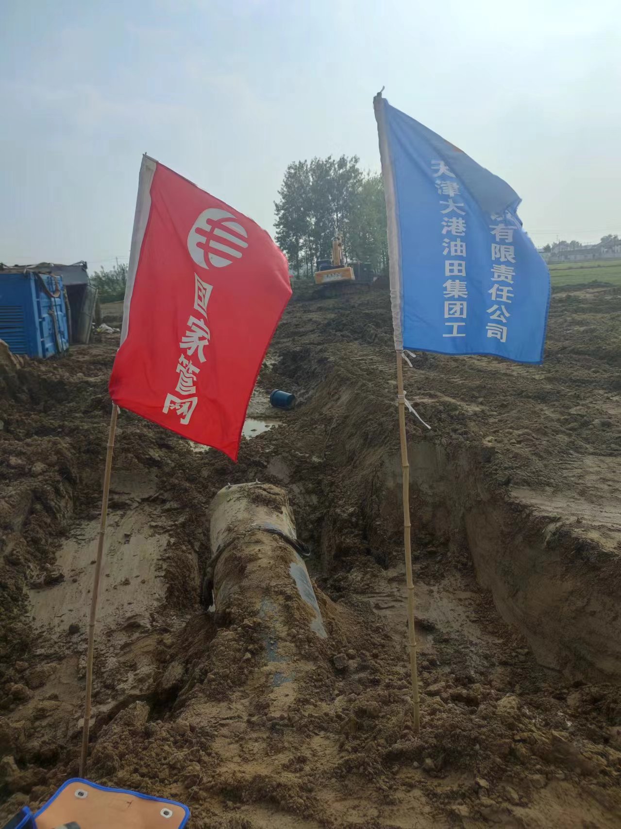 2024.08.17电导率网站使用.jpg