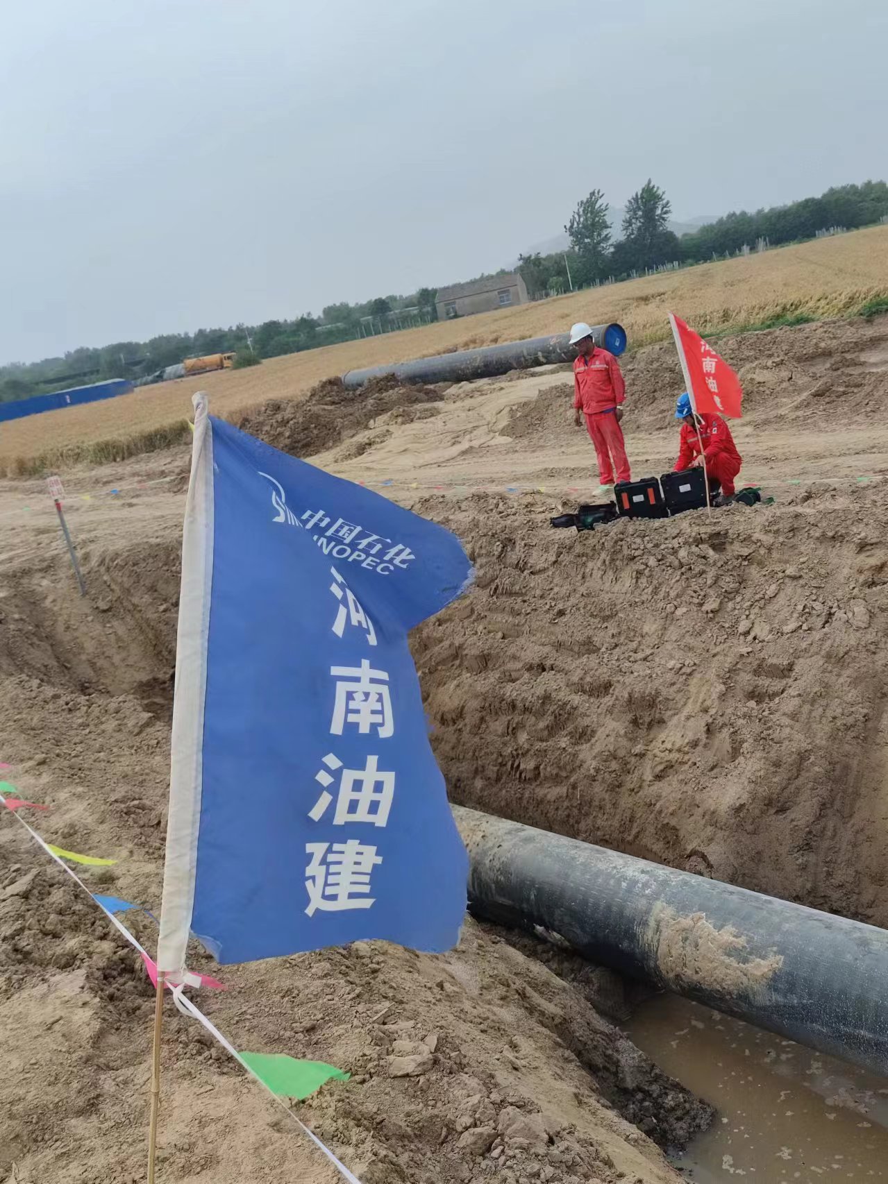 2024.08.20电导率网站使用.jpg