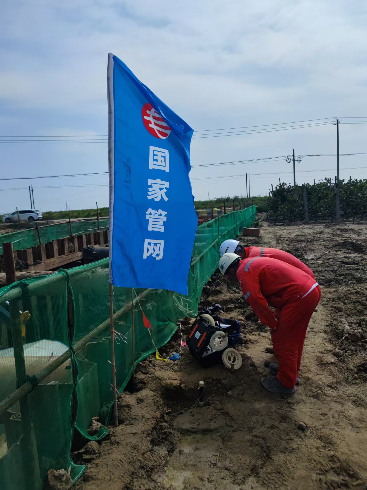 网2   用.jpg